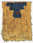 An effigy feather tunic